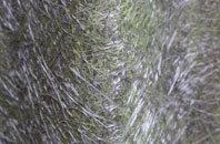 Hill Deverill fibreglass roof work